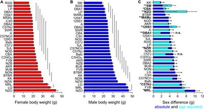 Thirty Mouse Strain Survey of Voluntary Physical Activity and Energy Expenditure: Influence of Strain, Sex and Day–Night Variation